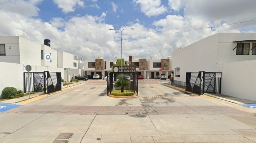 ARDINES DE ALEJANDRIA
